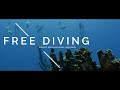 Free Diving | Red Sea Diving Safari