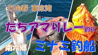 25向春 東京湾 たちアマリレー ミナミ釣船