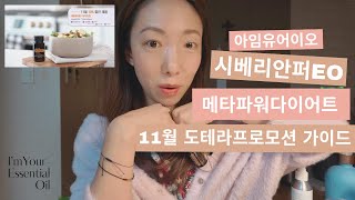 시베리안 퍼, 그리고 다이어트(평생의 숙제) 도테라의 11월 프로모션 알려드려요