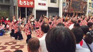 櫻嵐洛 途中から 第64回よさこい祭り 帯屋町筋演舞場 8月11日