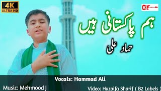 𝟭𝟰 𝗔𝘂𝗴𝘂𝘀𝘁 𝗡𝗲𝘄 𝗦𝗼𝗻𝗴 | Hum Pakistani Hain | Hammad Ali