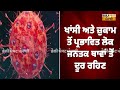 alert covid 19 ਵਾਂਗ ਮੁੜ ਭਾਰਤ ਚ advisory ਹੋ ਗਈ ਜਾਰੀ ਪੈ ਗਿਆ ਪੰਗਾ...