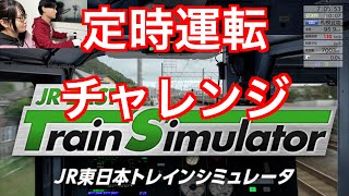 定時運転チャレンジ #JR東日本トレインシミュレータ #東海道貨物線 #特急 #湘南