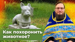 Как похоронить животное?  Священник Антоний Русакевич