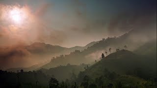 Redlands Forum - Future of Forests