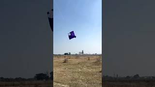 Kite viral video #ytshorts #kiteflying #flyingkites #kitelooting #kite