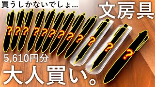 ふらっと立ち寄った紀伊国屋書店で文房具を大人買いせざるを得なかった。