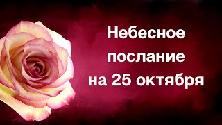 Небесное послание на 25 октября. Великая сила ваших действий.