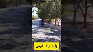 باغ راه جزیره کیش