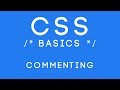 CSS Basics Tutorial 31 - Commenting