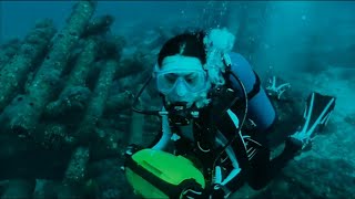 Missing - Deep Sea Scuba Diving Scene - Isabella Leong