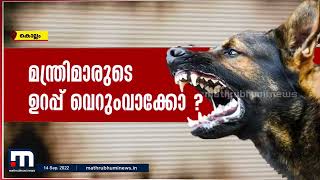 അടിസ്ഥാന സൗകര്യങ്ങൾ പോലുമാകാതെ കൊല്ലത്തെ എബിസി കേന്ദ്രങ്ങൾ | Mathrubhumi News