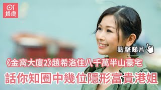 金宵大廈2｜趙希洛住八千萬半山豪宅 話你知圈中十位隱形富貴港姐