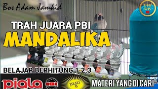 Piala Pakualam Jilid 8 - LOVEBIRD MANDALIKA - TRAH JUARA PBI SEMAKIN MELEKAT