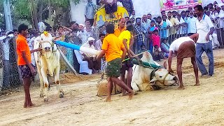 mellacheruvu edla pandalu! yedla pandalu