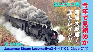 【SLニセコ 惜別！】大爆煙＆大ドレイン 秋の倶知安峠 SL-Niseko Japanese Steam Locomotive 2-6-4