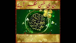 11 Shaban Zahoor Shahzada Ali Akbar a.s | Hussain Ka Akbar | Syed Raza Abbas Zaidi | Status
