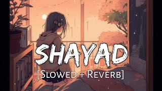 Shayad - Love Aaj Kal | Arijit Singh | Slowed And Reverb | Lyrical | Lofi Music Channel