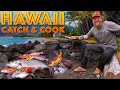 Catch and Cook Tropical Fish in Hawaii with Greg Ovens - Ep. 1 of 5 Hawaii Catch and Cook Adventure