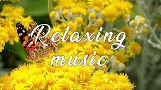 Healing Music  | Peaceful Instrumental Music | Healing Music - Meditation Music