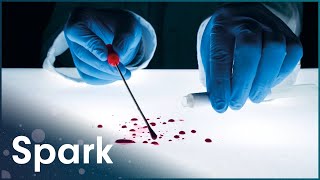 The Cutting Edge In Forensic Science | Ever Wondered