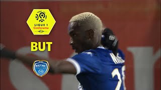 But Adama NIANE (88') / ESTAC Troyes - FC Metz (1-0)  / 2017-18