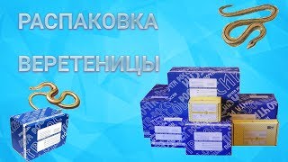 Распаковка посылки с ящерицами//ломкая веретеница//сезон распаковок