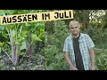 Was kann ich im Juli Aussäen - Gartentipps für die Aussaat von Gemüse im Sommer - Gartenrundgang