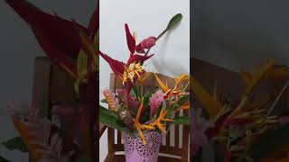 Heliconia plants for sale contact (9447423061)