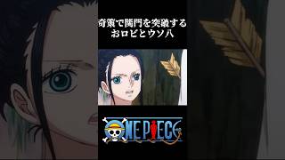 【MAD】奇策で関門を突破するおロビとウソ八 #ワンピース #onepiece #アニメ