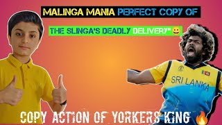 Malinga Mania Bowling copy Of The Slinga :  Yorker Master 🔥👀 || Hamood Cricket Craze