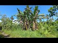 Family Life, Lae Papua New Guinea