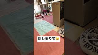 #犬 #シニア #プードル17歳14歳 #おばあちゃん犬#食欲旺盛😆#腎臓 #サプリ