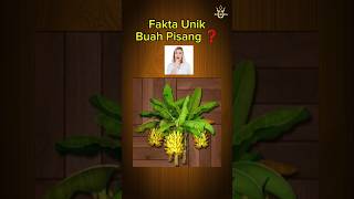 FAKTA UNIK BUAH PISANG ❓️😱 #pisang #masakanrumahan #buahbuahan