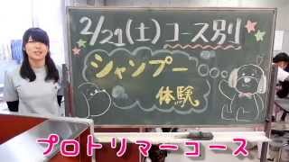 ちば愛犬　2月21日　プロトリマーコース体験授業　予告編