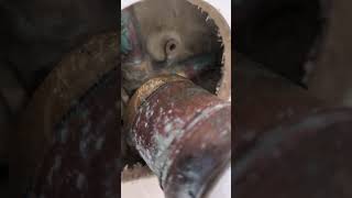 Plumbing Disasters' any small leak could be worse, remove covers.