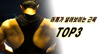 어깨가 넓어지고싶다면 필수시청! 어깨 넓이를 좌우하는 근육 TOP3