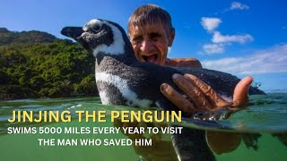 The Man Who Saved Jinjing: A Penguin's 5000-Mile Swim | Minute Facts