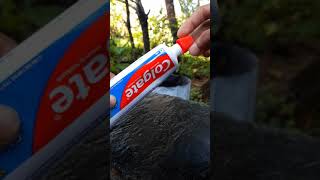 🔥eno vs colgate😱|simple science experiment with water and eno|Easy experiment#short#M4_tech#yt