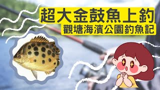 釣魚系列 2022 觀塘海濱公園釣魚記 釣到人生最大的一條金鼓魚 仲可野餐添