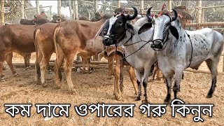 ইন্ডিয়া বাংলাদেশ সীমান্ত এলাকায় সব চাইতে কম থাকে পাওয়া যায় এই হাটে গরু || Bangladesh India blogs