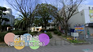 大きな楠木のある緑地【西新緑地 （頭山満手植之楠）】