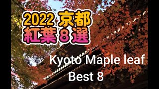 京都紅葉８選  2022 12 12#京都紅葉　＃金福寺＃常寂光寺＃詩仙堂＃圓光寺＃天龍寺＃東福寺＃宝厳院　＜REC２＞