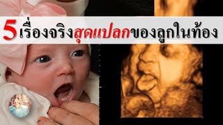 ทารกในครรภ์ : 5 เรื่องจริงสุดแปลกของลูกในท้อง! | ความเชื่อคนท้อง | คนท้อง Everything