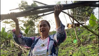 PERDANA MASAK DI TUNGKU DAPUR TRADISIONAL||MENANAM||MENYIRAM||MEMBERSIH KEBUN