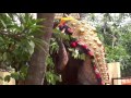 history of mangattukottaram mahaganapathy temple mangadanmar kalaripayattu nair