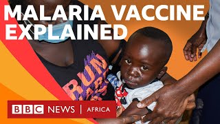 Malaria Vaccine: Three things to know - BBC What's New #shorts