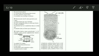 Biologiya. RFO 8-ci sinif. 25.12.2022