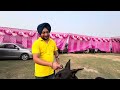 Biggest Dog show of Haryana! Karnal Dog show😱😍