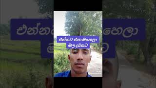 2023 නොවැම්බර් 2